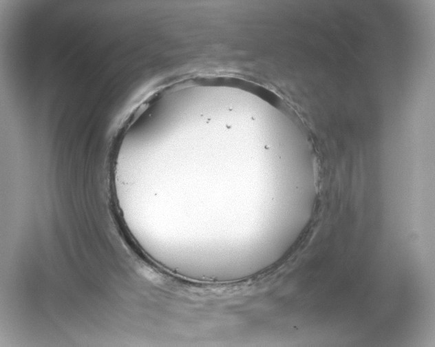 X0000053010005200508051212