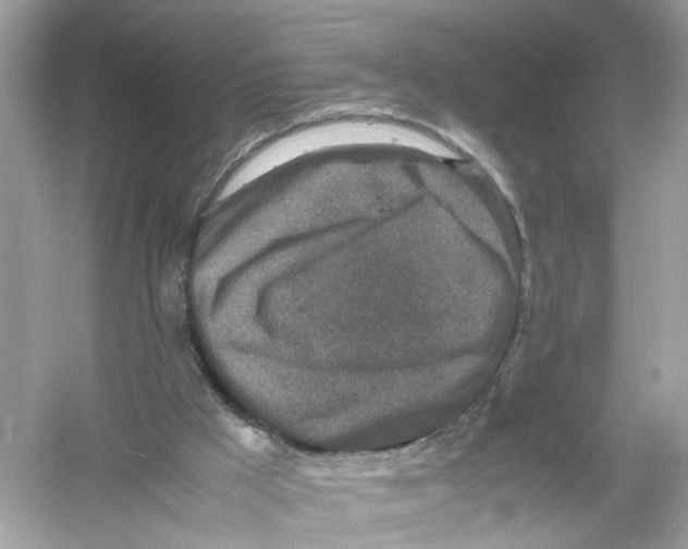 X0000053010009200508051212