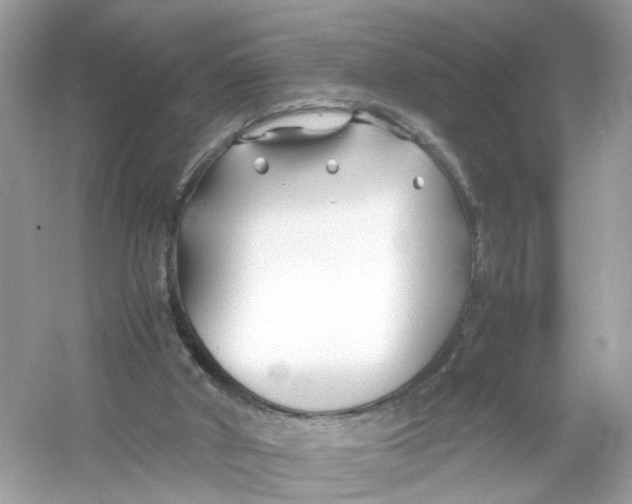 X0000053010010200508051212