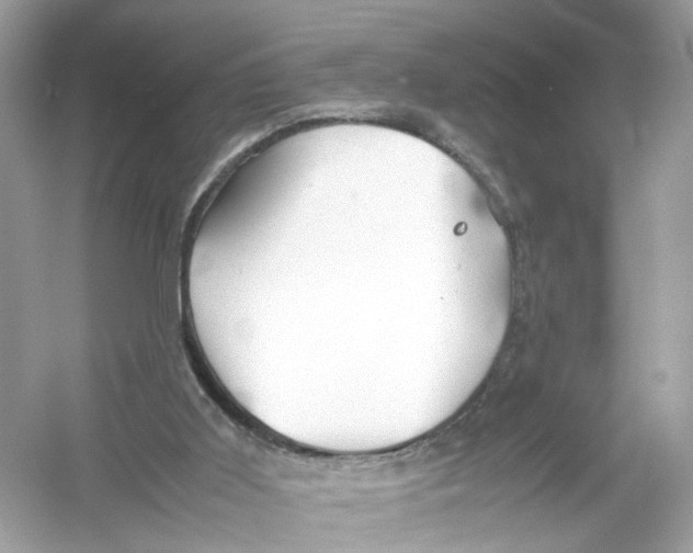 X0000053010011200508051212