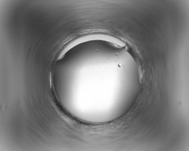 X0000053010013200508051212