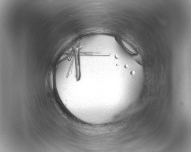 X0000053010014200508051212