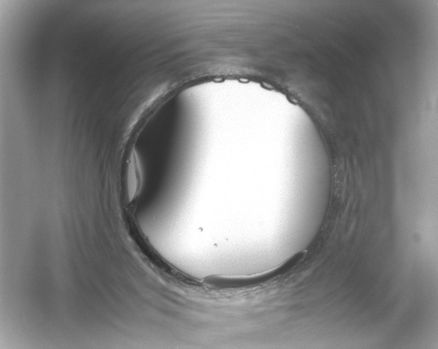 X0000053010015200508051212