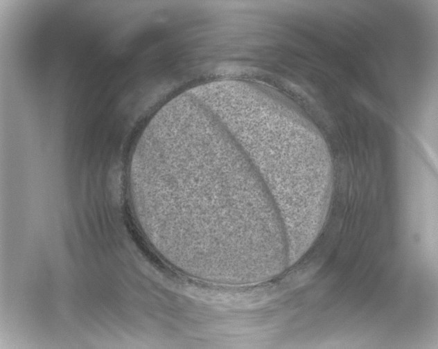 X0000053010016200508051212