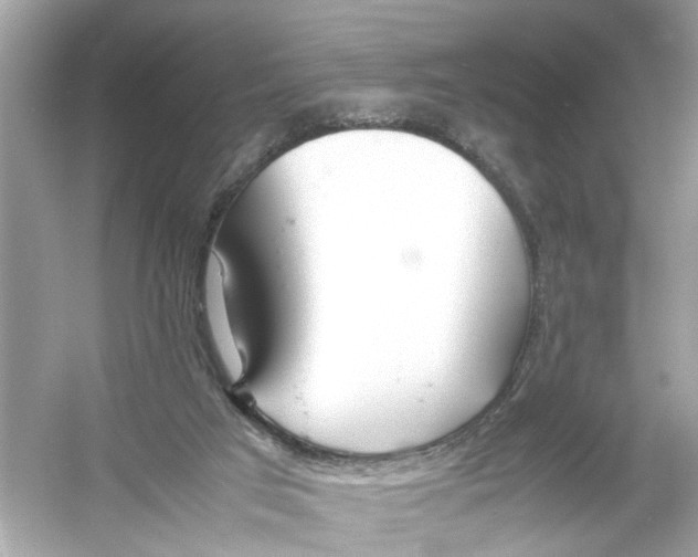 X0000053010017200508051212