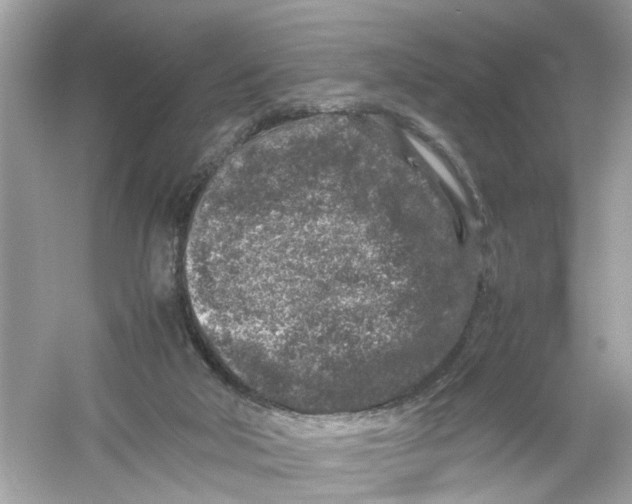 X0000053010018200508051212