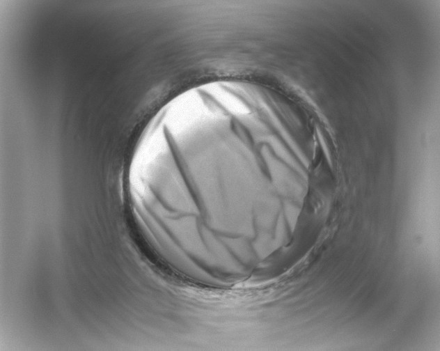 X0000053010019200508051212