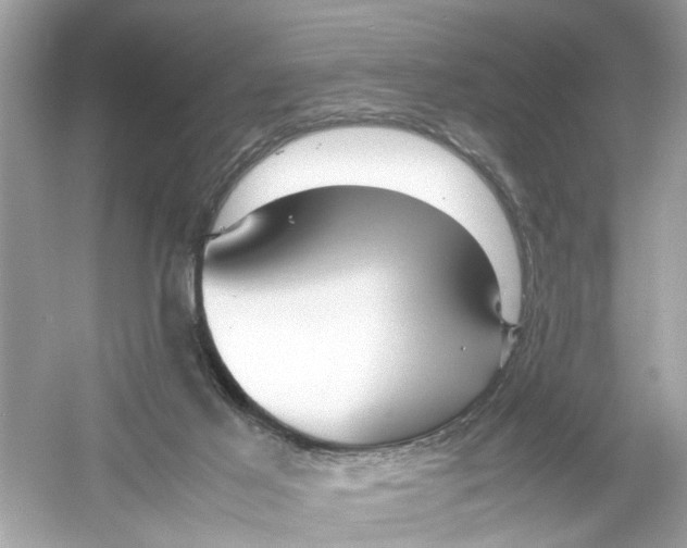 X0000053010021200508051212