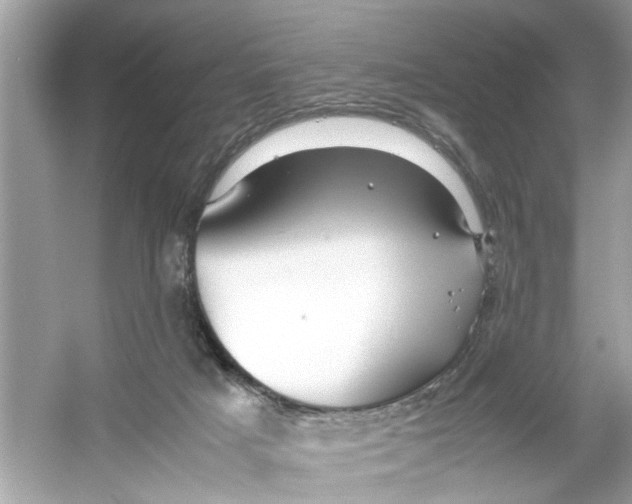 X0000053010025200508051212