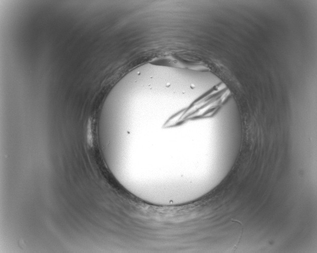 X0000053010026200508051212