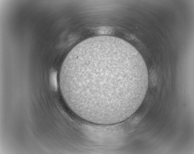 X0000053010028200508051212