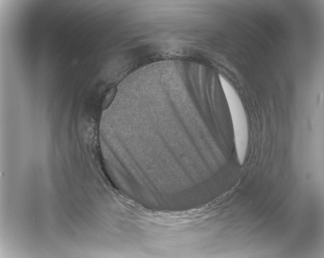 X0000053010029200508051212