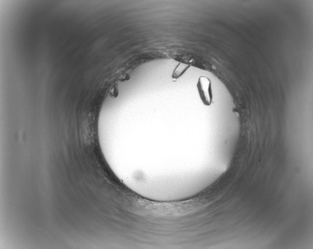 X0000053010030200508051212