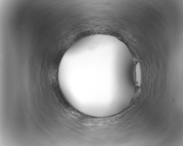 X0000053010033200508051212