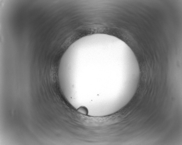 X0000053010034200508051212