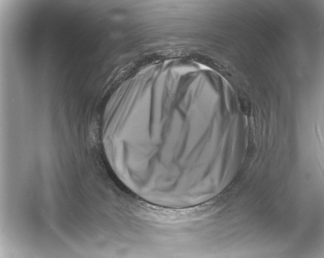 X0000053010035200508051212