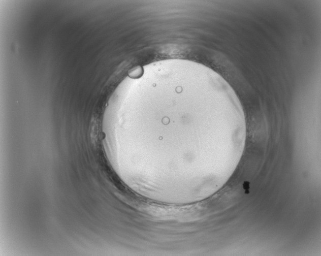 X0000053010036200508051212