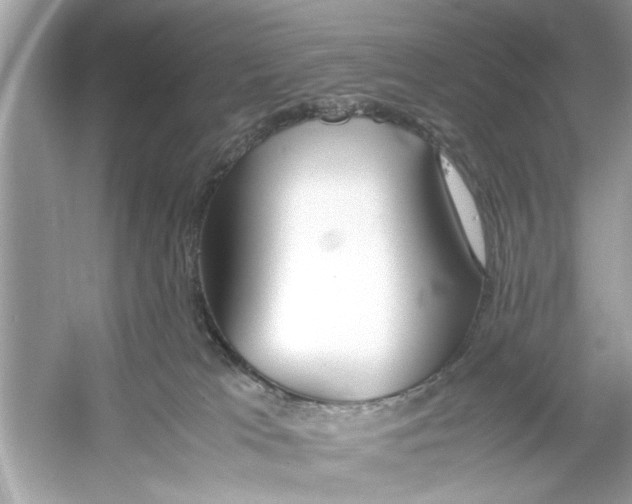 X0000053010037200508051212