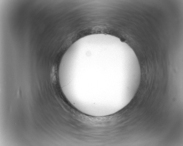 X0000053010038200508051212