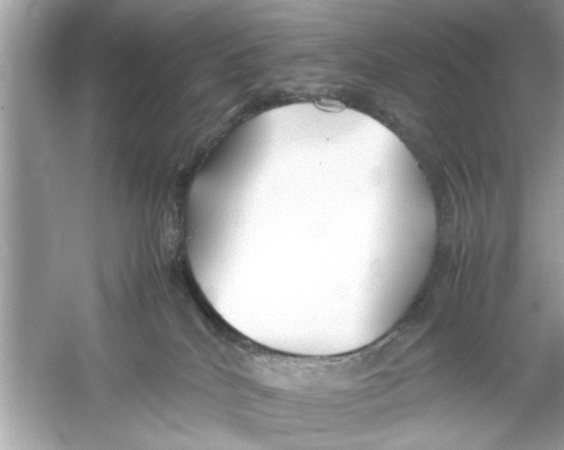 X0000053010040200508051212