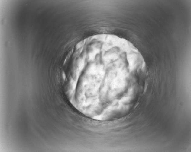 X0000053010043200508051212