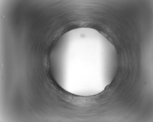 X0000053010044200508051212