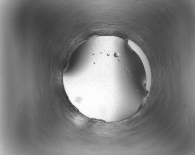 X0000053010045200508051212