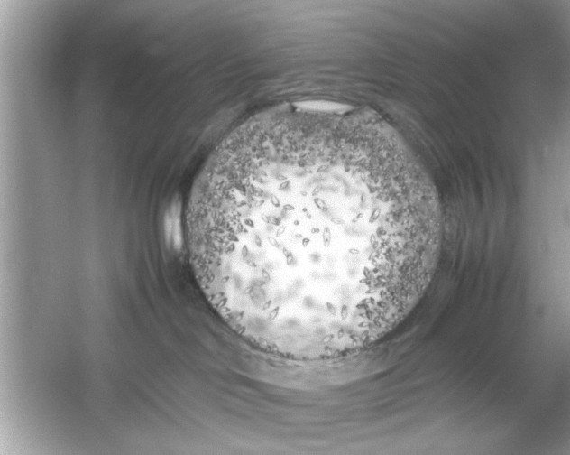 X0000053010046200508051212