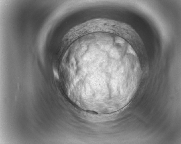 X0000053010047200508051212