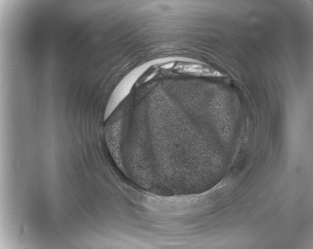 X0000053010048200508051212