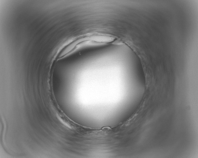 X0000053010050200508051211