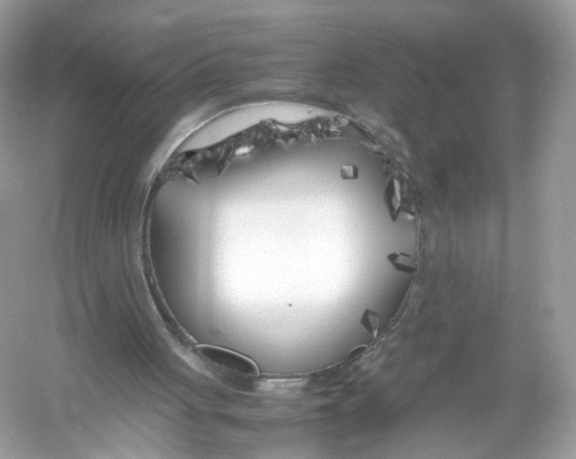 X0000053010051200508051211