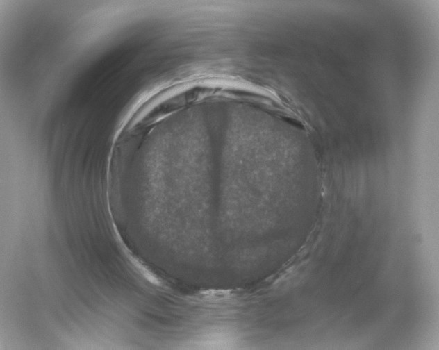 X0000053010052200508051211