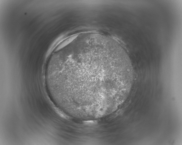 X0000053010053200508051211