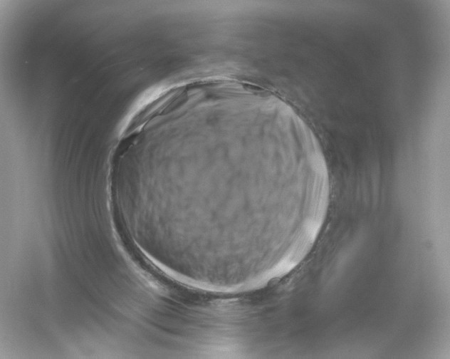 X0000053010054200508051211