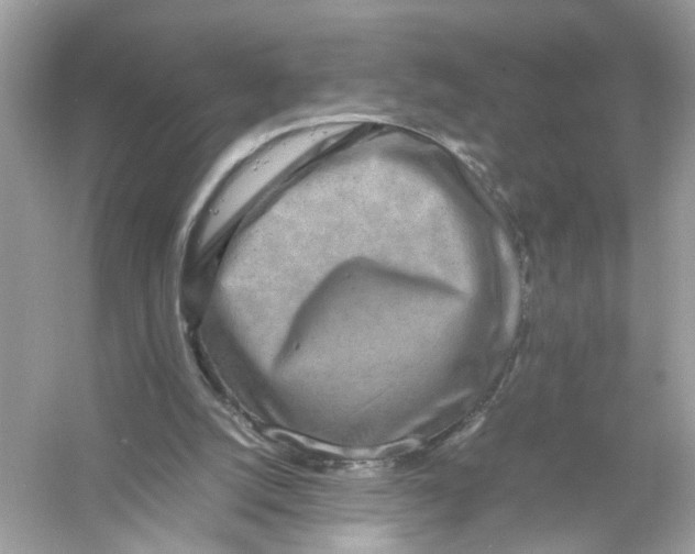 X0000053010056200508051211