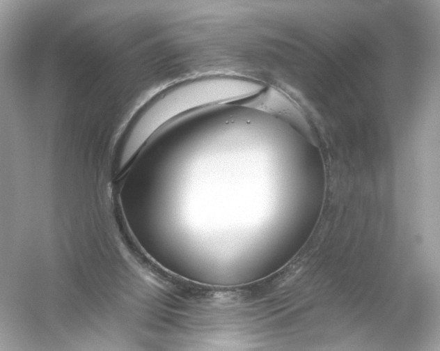 X0000053010060200508051211