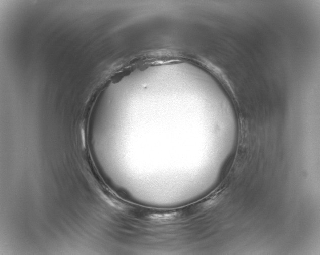 X0000053010061200508051211