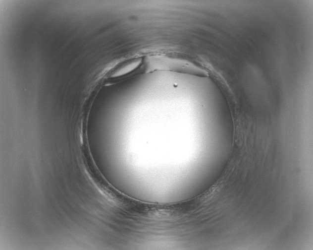 X0000053010062200508051211