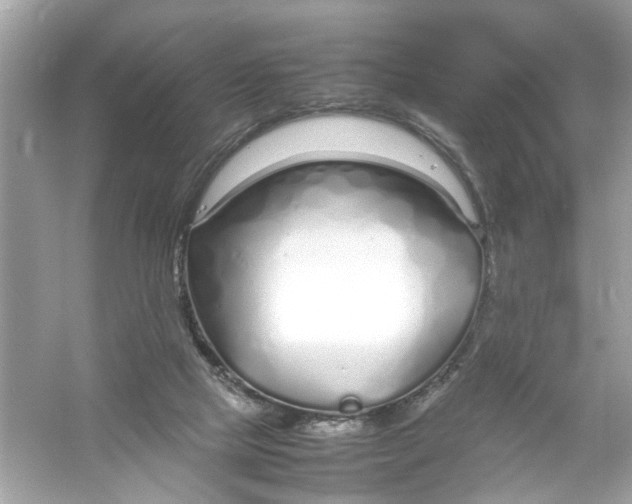 X0000053010065200508051211