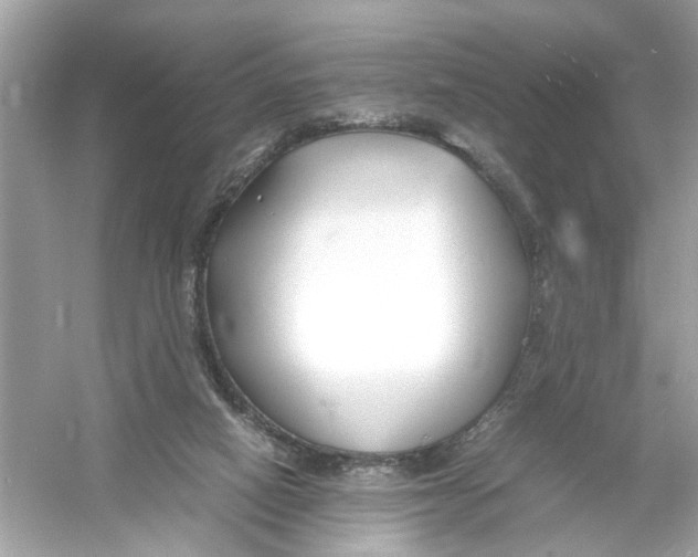 X0000053010066200508051211