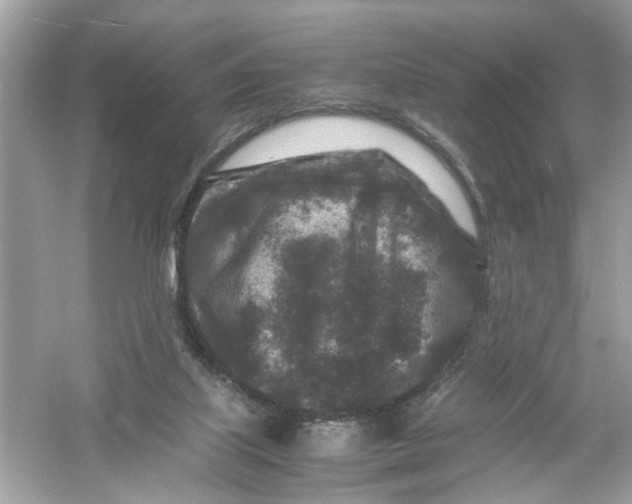 X0000053010067200508051211