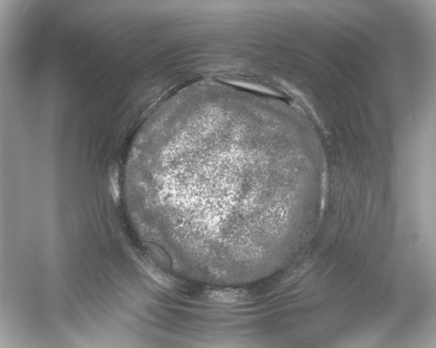 X0000053010069200508051211