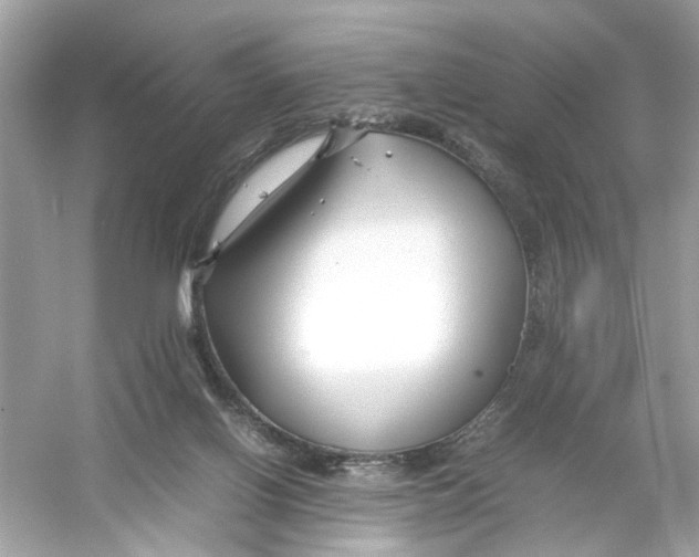 X0000053010070200508051211