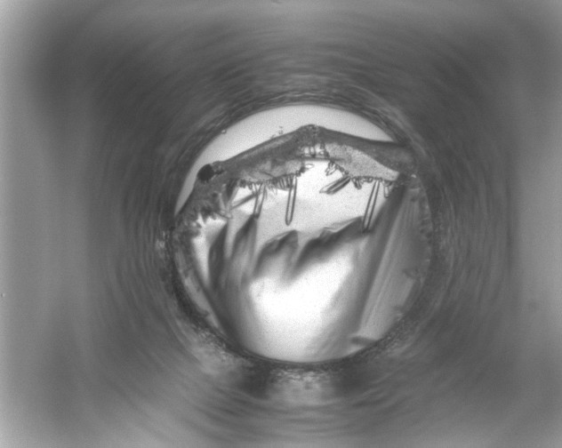 X0000053010073200508051211