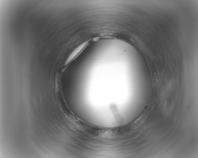 X0000053010074200508051211