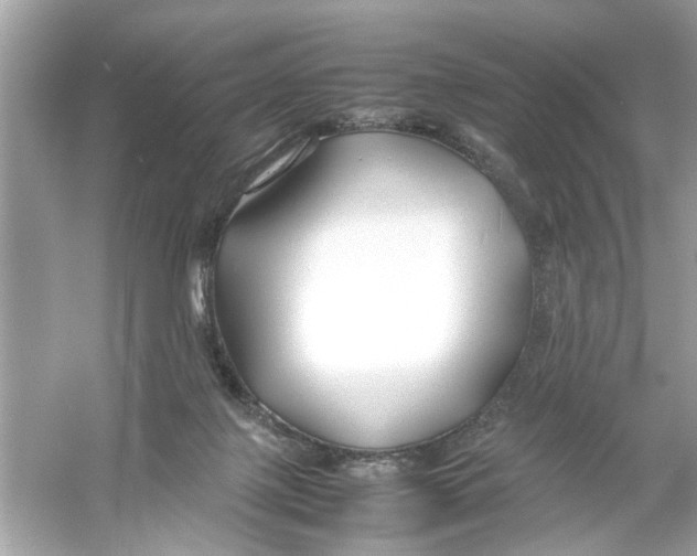 X0000053010075200508051211