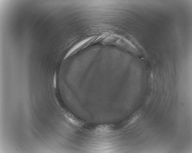 X0000053010076200508051211