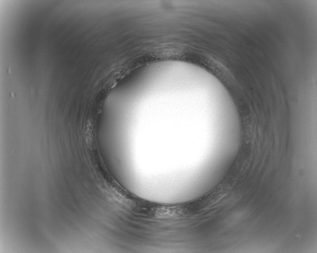 X0000053010077200508051211