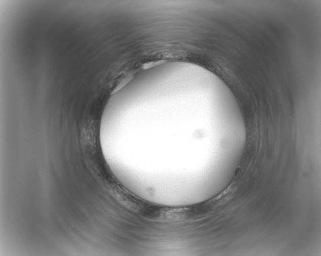 X0000053010078200508051211